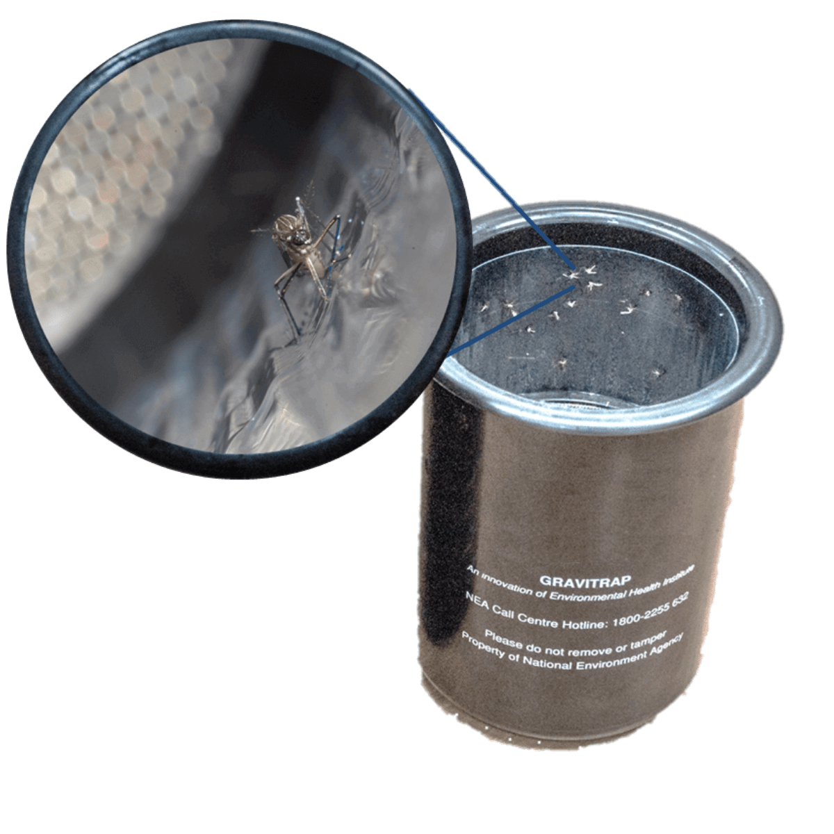 Gravitrap Mosquito Monitoring Trap Developed by NEA