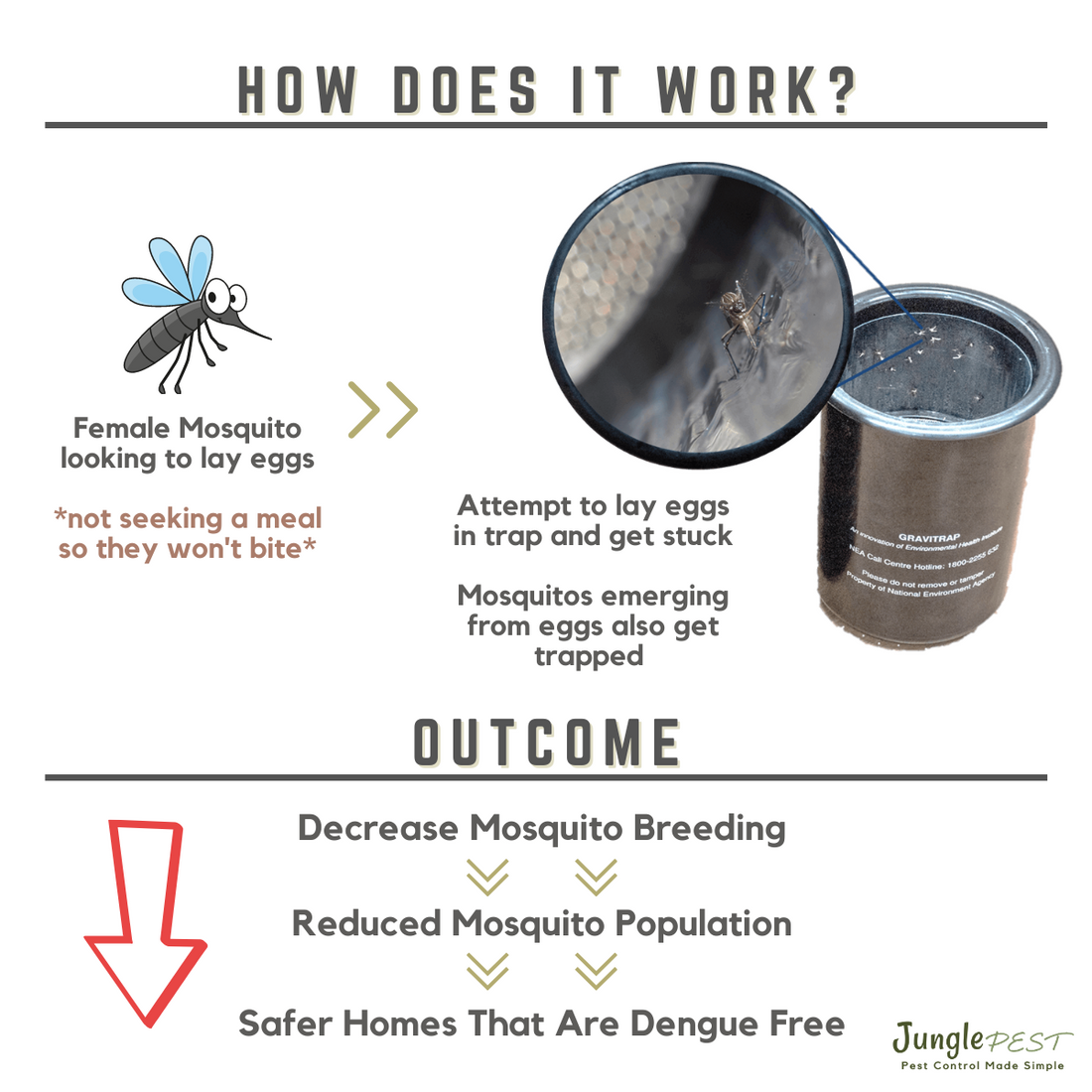 **REFILL** Gravitrap Mosquito Trap Developed by NEA