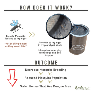 Gravitrap Mosquito Monitoring Trap Developed by NEA