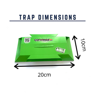 Controz Lizard Sticky Traps | bundle deal
