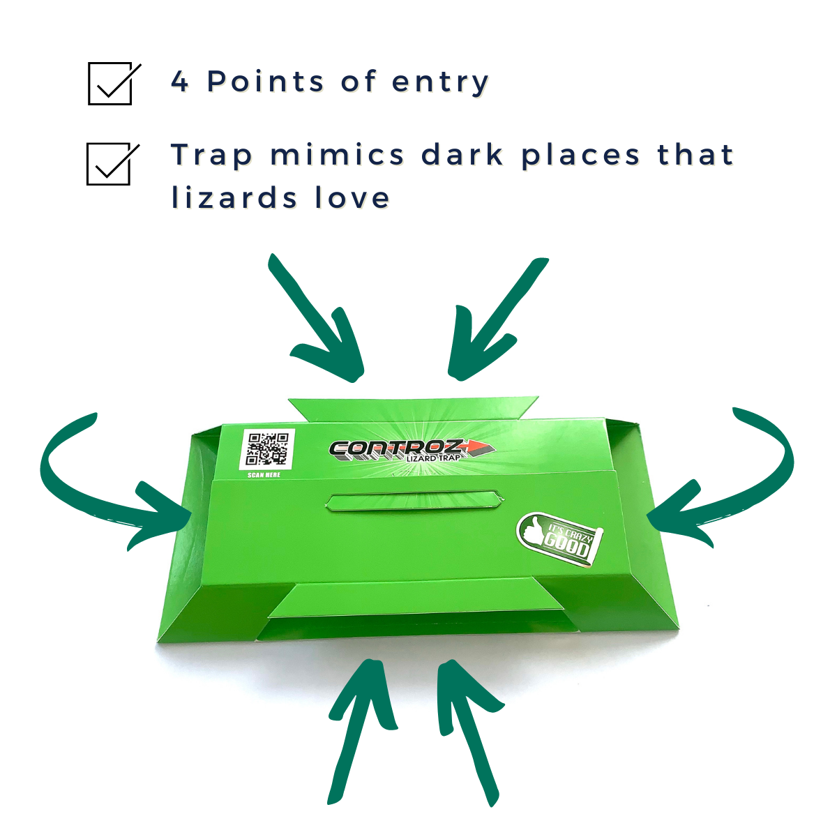 Controz Lizard Sticky Traps | bundle deal