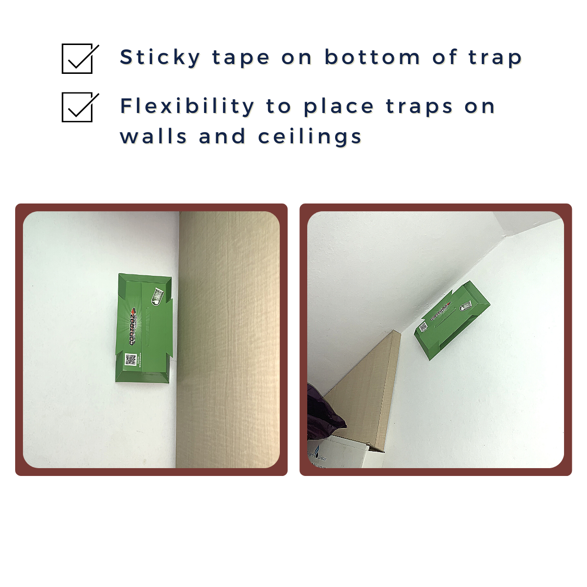 Controz Lizard Sticky Traps | bundle deal