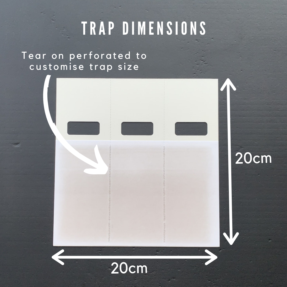 Controz ICE Mini Sticky Traps