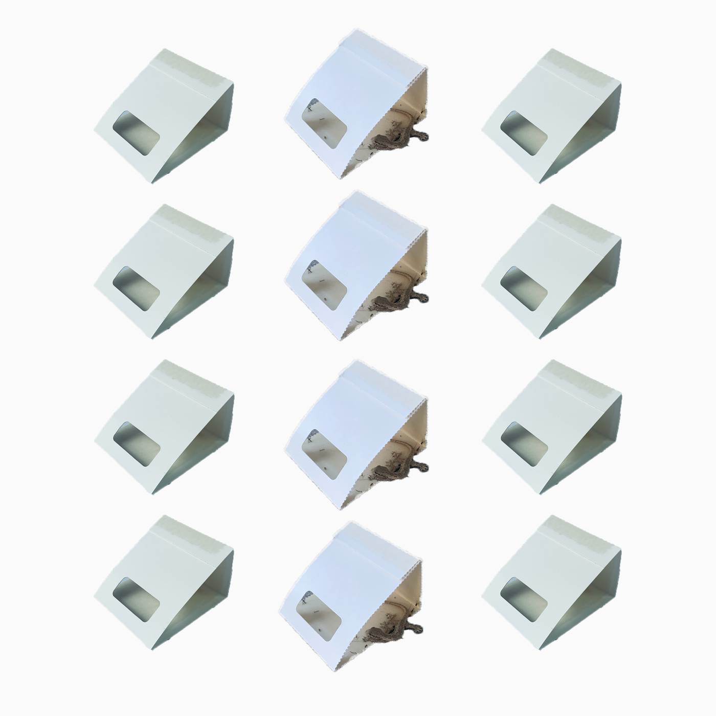 Controz ICE Mini Sticky Traps