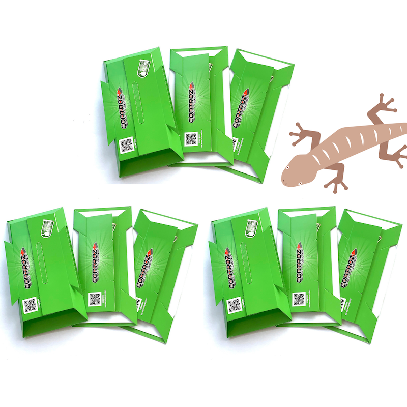 Lizard Glue Trap EN-167 | Poison-free | Effective | 3 PC PACK